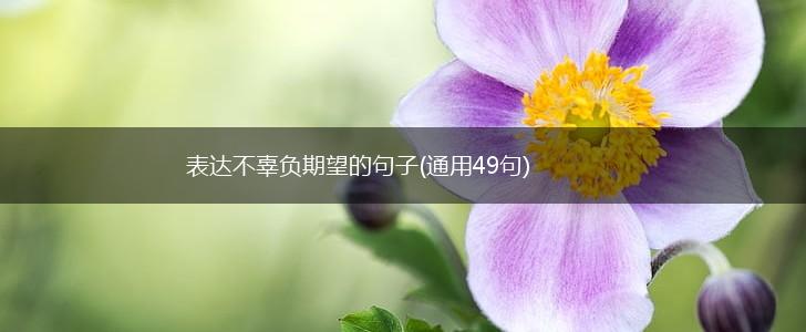表达不辜负期望的句子(通用49句),第1张