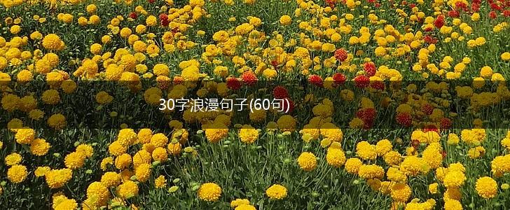 30字浪漫句子(60句),第1张