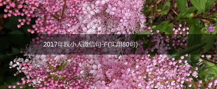 2017年踩小人微信句子(实用80句),第1张