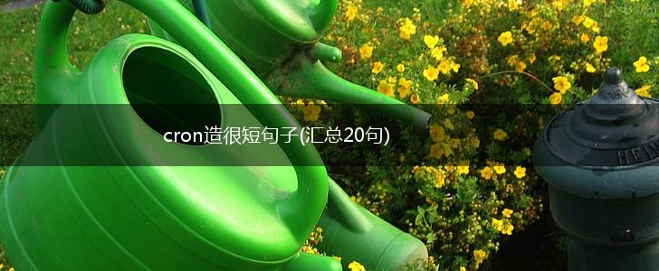 cron造很短句子(汇总20句),第1张