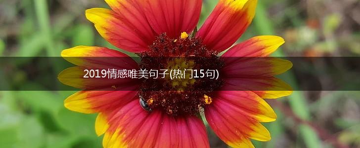 2019情感唯美句子(热门15句),第1张
