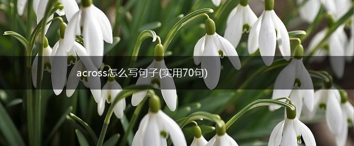 across怎么写句子(实用70句),第1张