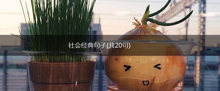 社会经典句子(共20句),第1张