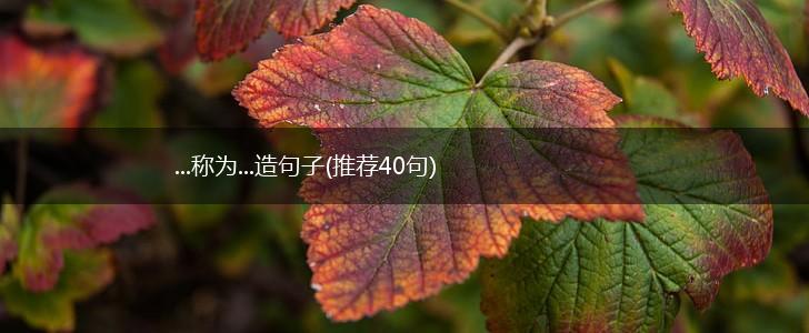 ...称为...造句子(推荐40句),第1张
