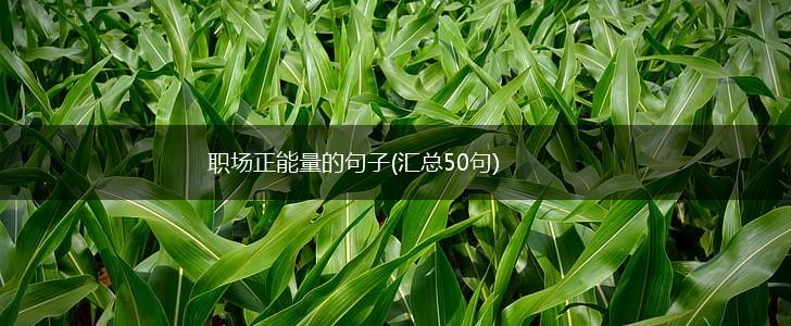 职场正能量的句子(汇总50句),第1张