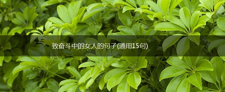致奋斗中的女人的句子(通用15句),第1张