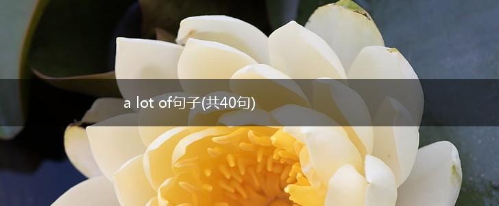 a lot of句子(共40句),第1张