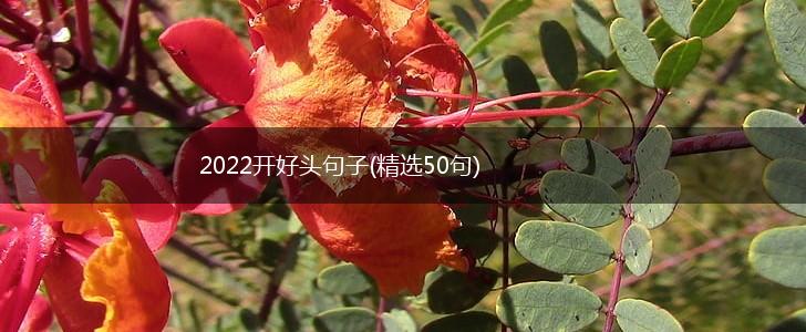 2022开好头句子(精选50句),第1张