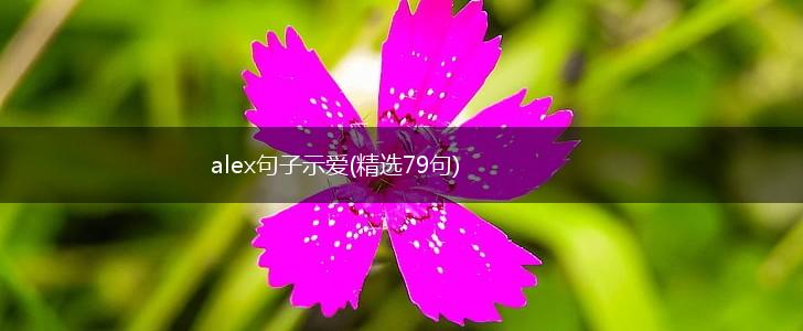 alex句子示爱(精选79句),第1张