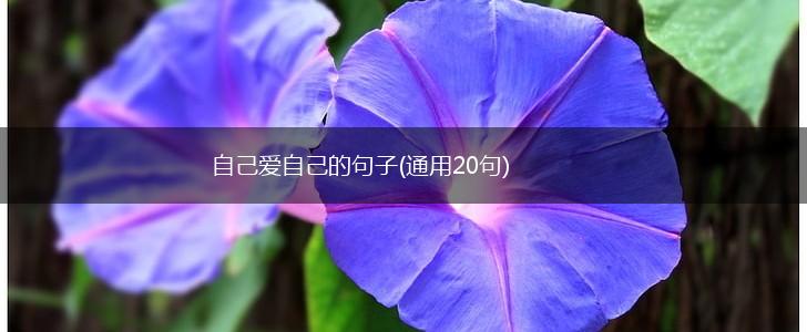 自己爱自己的句子(通用20句),第1张