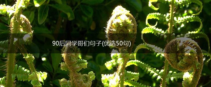 90后同学哥们句子(优选50句),第1张