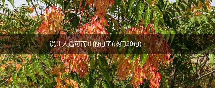 说让人适可而止的句子(热门20句),第1张