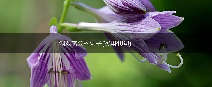 调戏老公的句子(实用40句),第1张