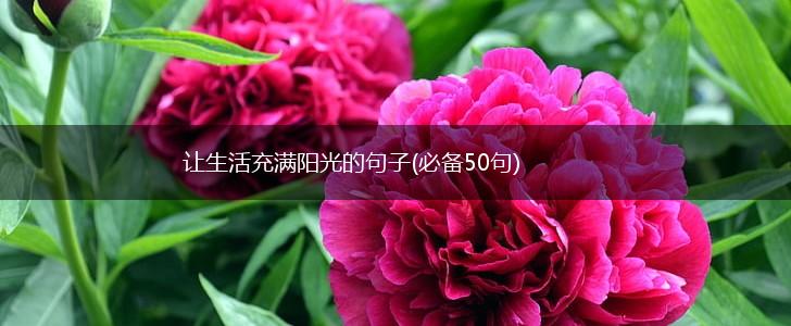 让生活充满阳光的句子(必备50句),第1张