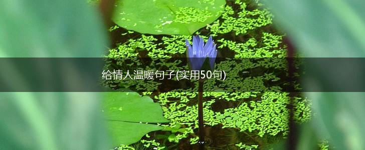 给情人温暖句子(实用50句),第1张