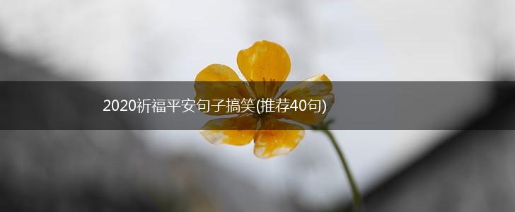 2020祈福平安句子搞笑(推荐40句),第1张