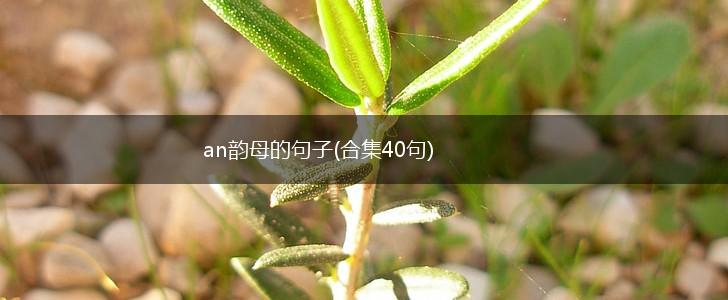 an韵母的句子(合集40句),第1张
