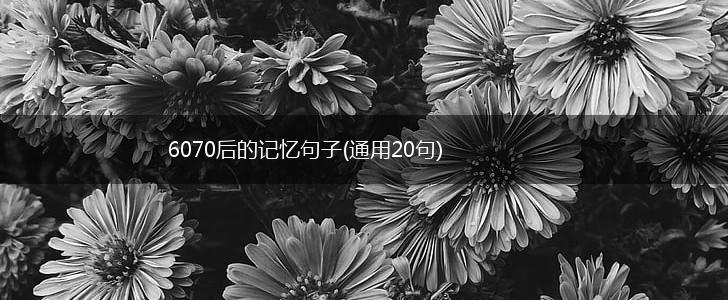 6070后的记忆句子(通用20句),第1张