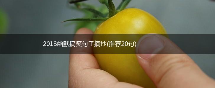 2013幽默搞笑句子摘抄(推荐20句),第1张