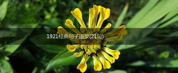 1921经典句子语录(21句),第1张