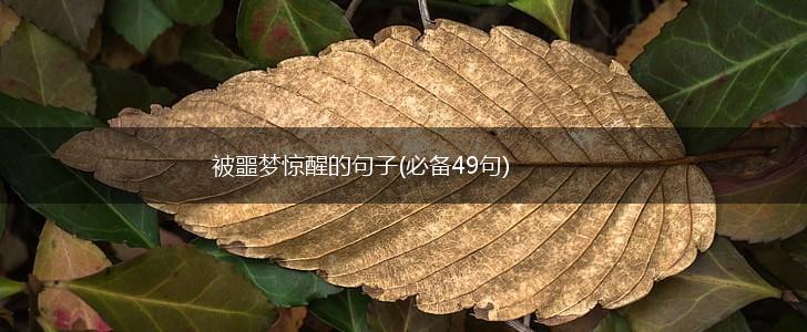 被噩梦惊醒的句子(必备49句),第1张
