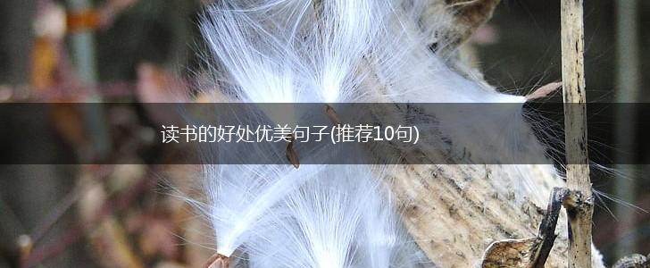 读书的好处优美句子(推荐10句),第1张