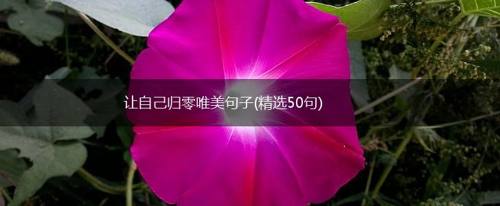 让自己归零唯美句子(精选50句),第1张