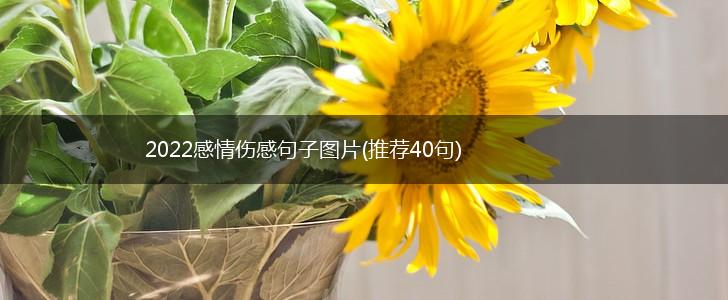 2022感情伤感句子图片(推荐40句),第1张