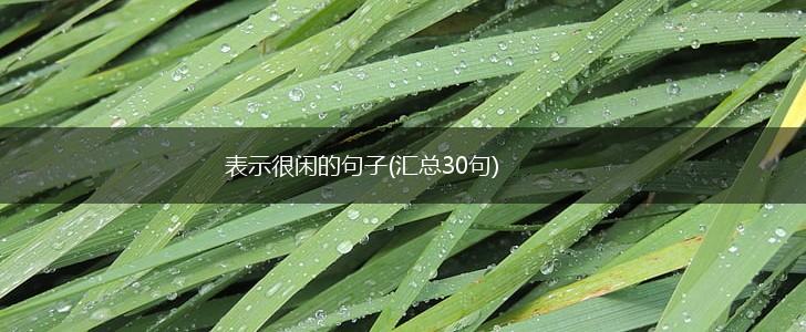 表示很闲的句子(汇总30句),第1张