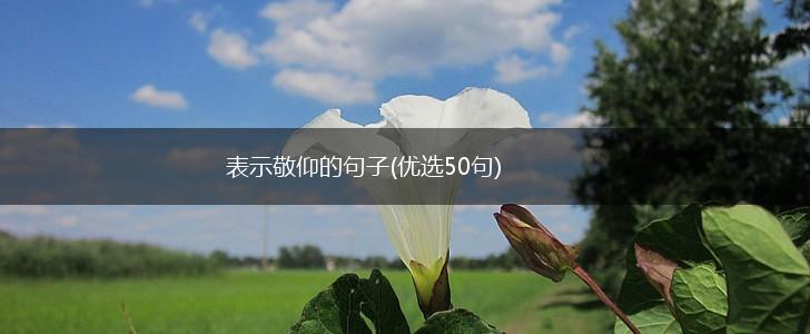 表示敬仰的句子(优选50句),第1张