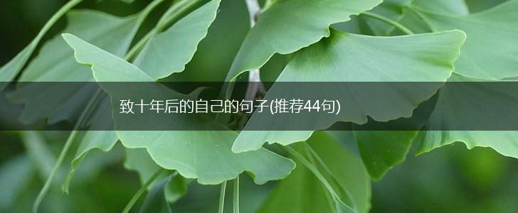 致十年后的自己的句子(推荐44句),第1张