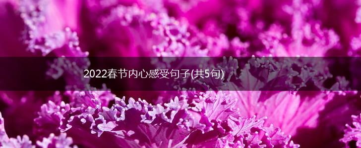 2022春节内心感受句子(共5句),第1张