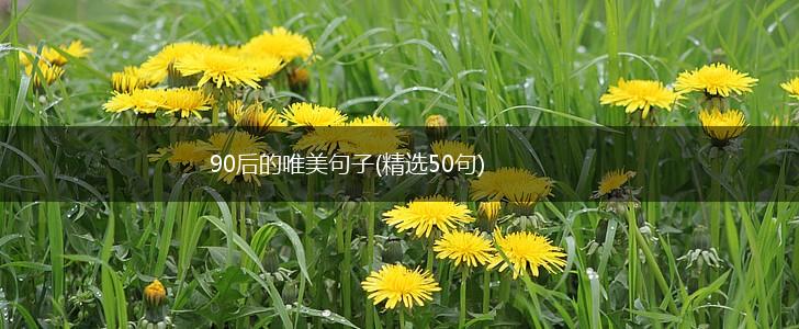 90后的唯美句子(精选50句),第1张