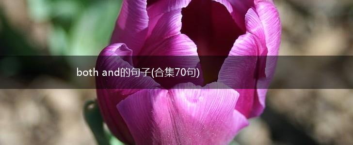 both and的句子(合集70句),第1张