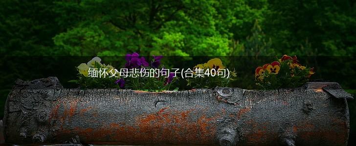 缅怀父母悲伤的句子(合集40句),第1张