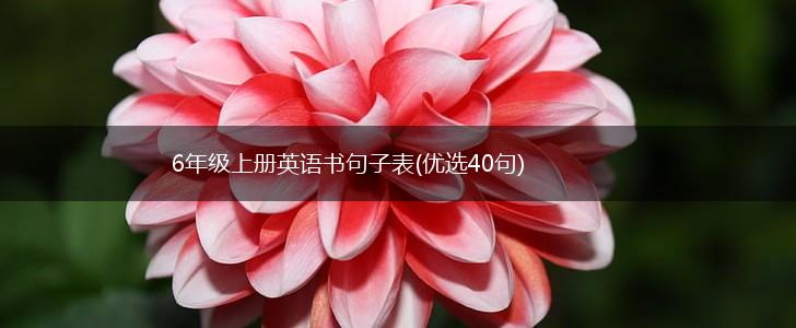 6年级上册英语书句子表(优选40句),第1张