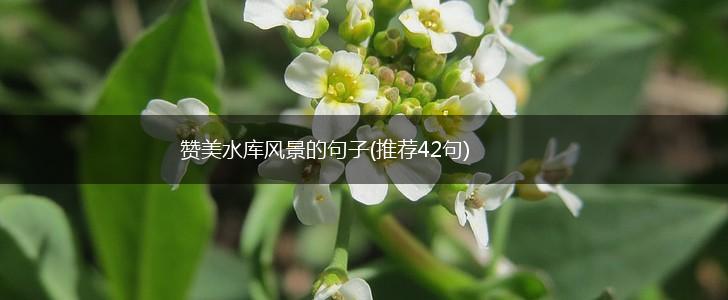 赞美水库风景的句子(推荐42句),第1张