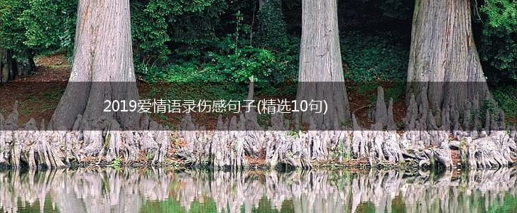 2019爱情语录伤感句子(精选10句),第1张