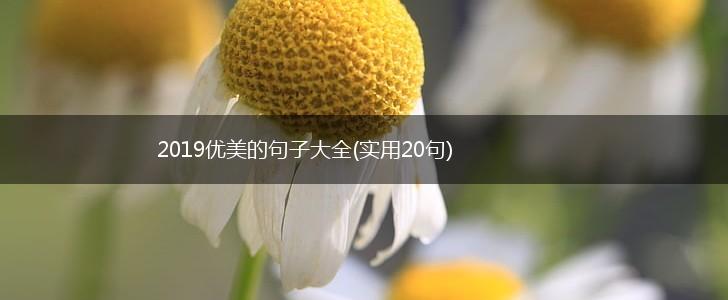 2019优美的句子大全(实用20句),第1张