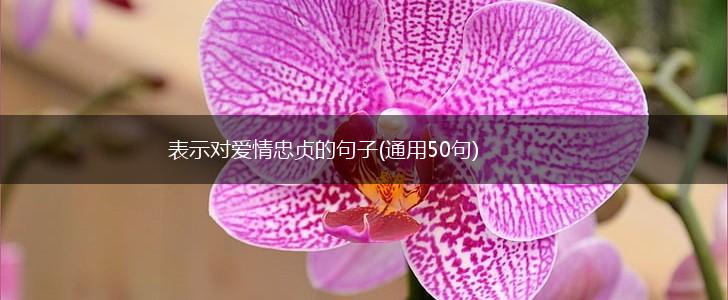 表示对爱情忠贞的句子(通用50句),第1张