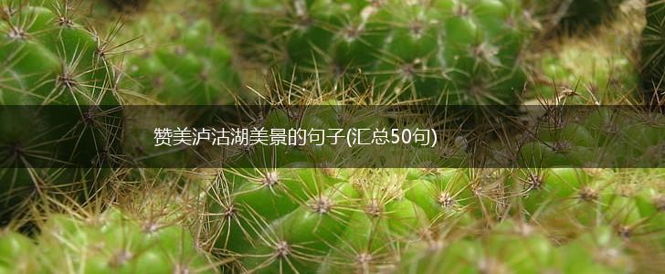 赞美泸沽湖美景的句子(汇总50句),第1张
