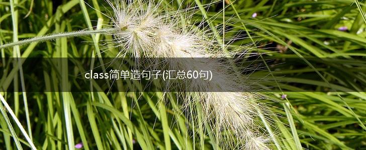 class简单造句子(汇总60句),第1张