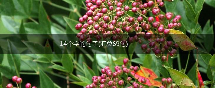14个字的句子(汇总69句),第1张