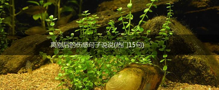 离别后的伤感句子说说(热门15句),第1张