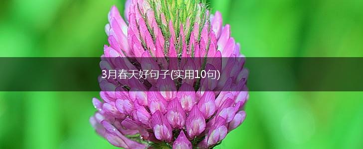 3月春天好句子(实用10句),第1张