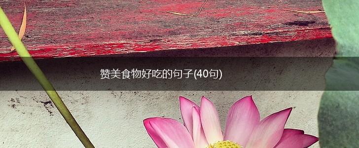 赞美食物好吃的句子(40句),第1张