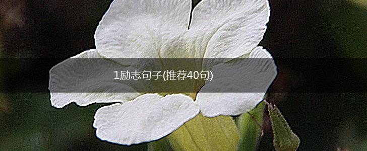 1励志句子(推荐40句),第1张