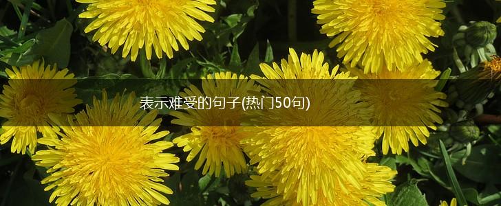 表示难受的句子(热门50句),第1张