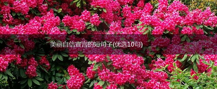 美丽自信宣言的短句子(优选10句),第1张
