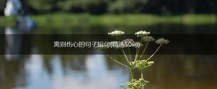离别伤心的句子短句(精选50句),第1张